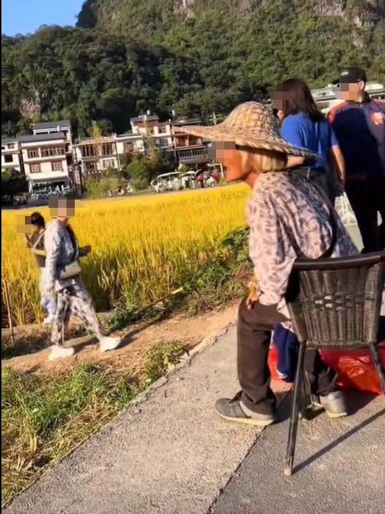 智能监控无人机守护农田，文明旅游新风尚呼唤游客尊重田地文明拍照
