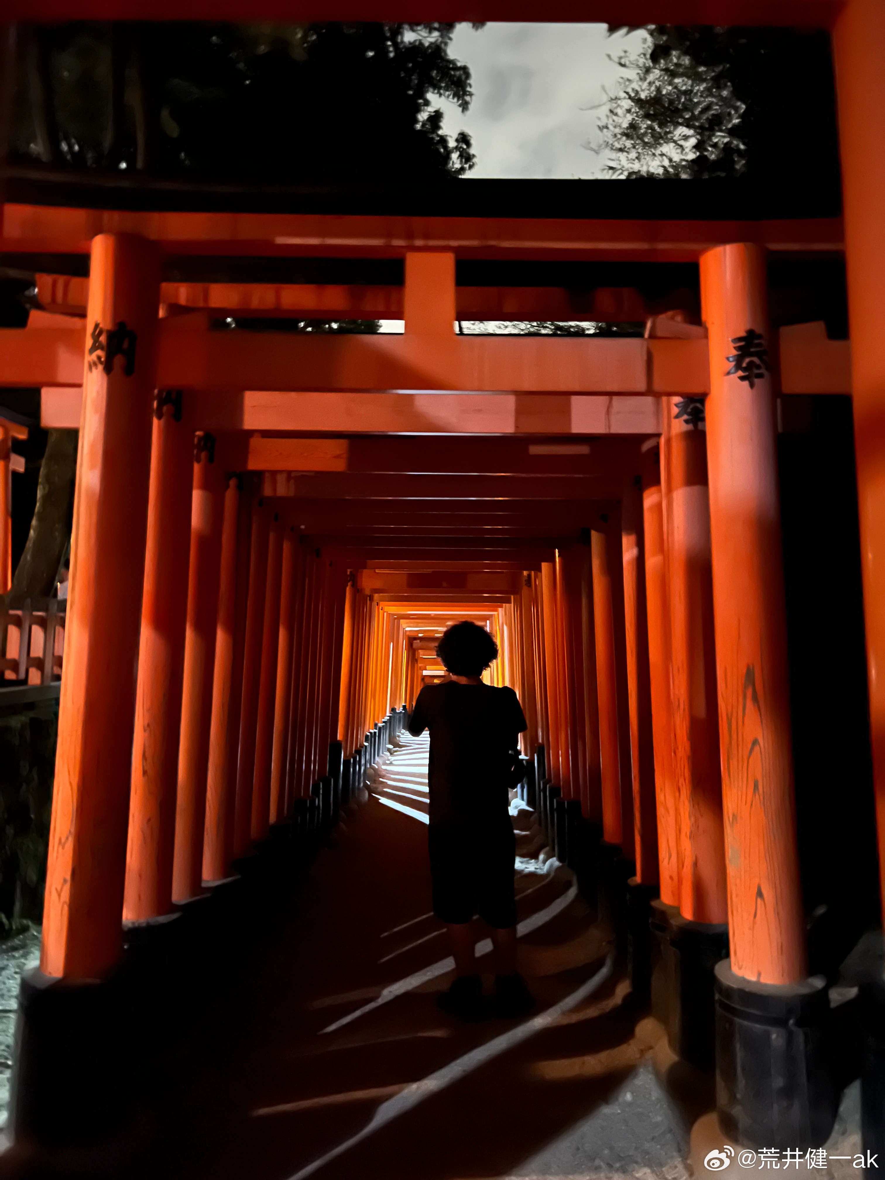 智利女网红在日本神社挑战引体向上