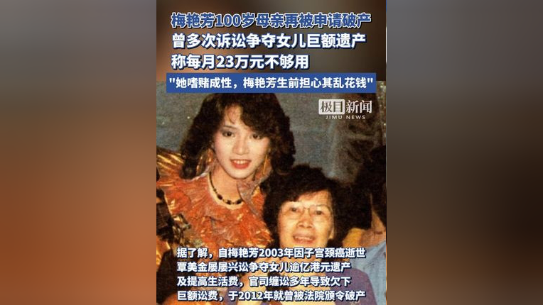 梅艳芳妈妈被申请破产，全面解析与应对指南