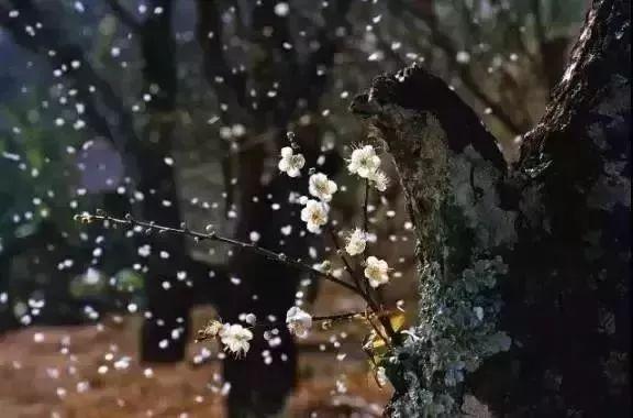 治病的医院不应成为打卡景点，聚焦医疗场所的本质与责任