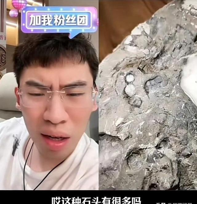 听泉鉴宝直播，北大情缘的温暖日常与直播间的真实自述