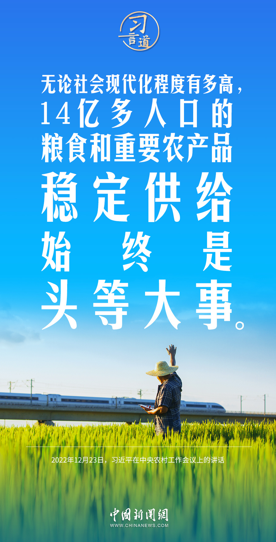 粮食安全之重，全球影响与稳定天下的关键角色