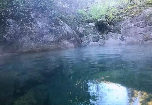 青海硫化氢有毒气体致6人死亡事件揭秘