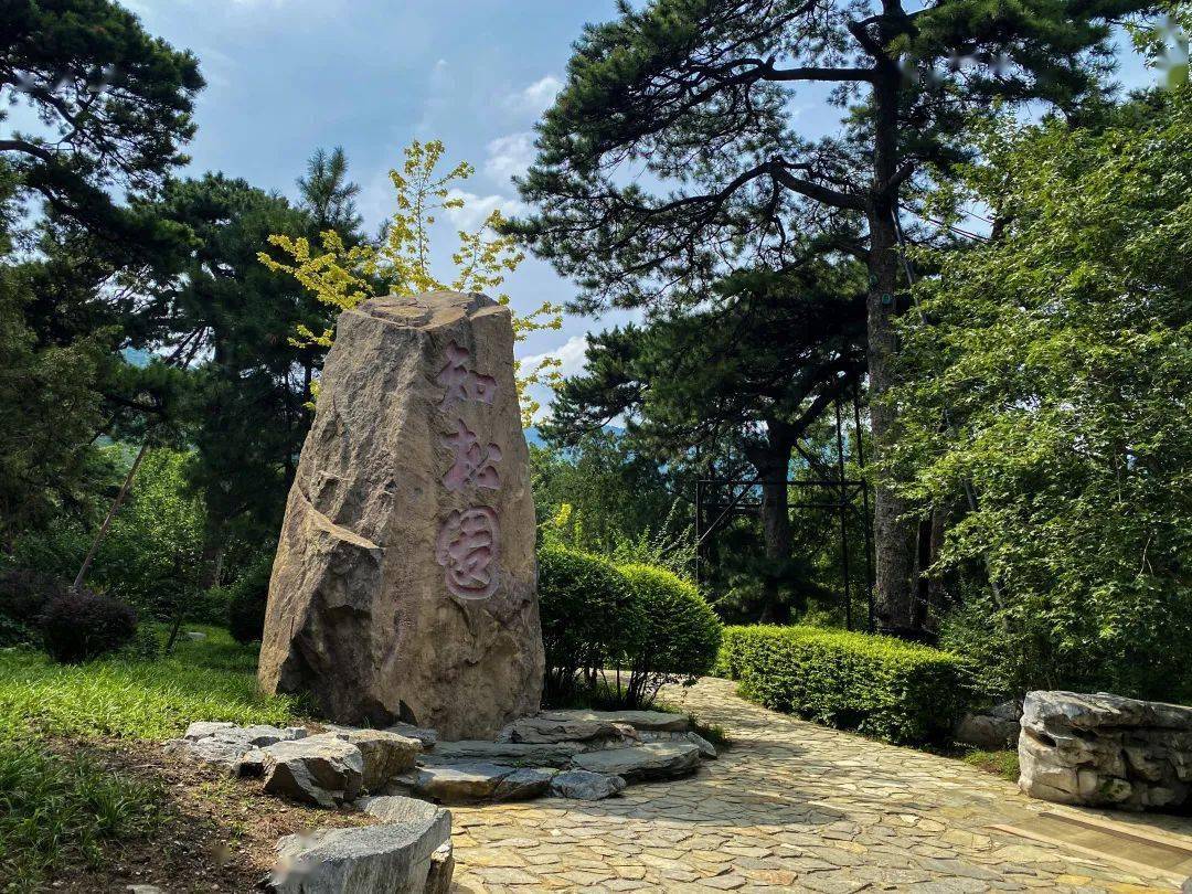 北京市公园游览年票停售背后的考量与观点阐述