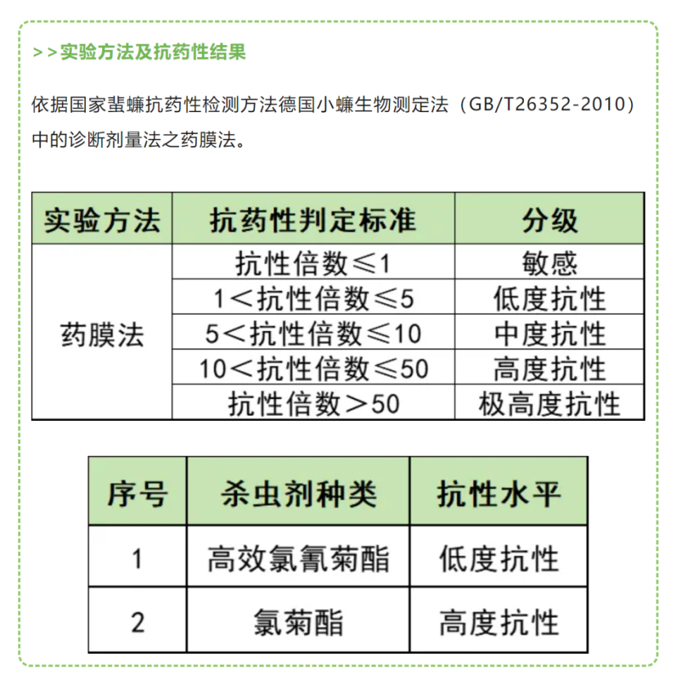 广东蟑螂进化引发关注，疾控部门作出回应