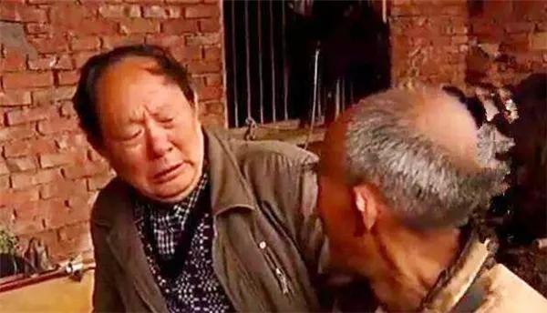 母女养超20只猫引发争议，恶臭扰邻与隐居自然之间