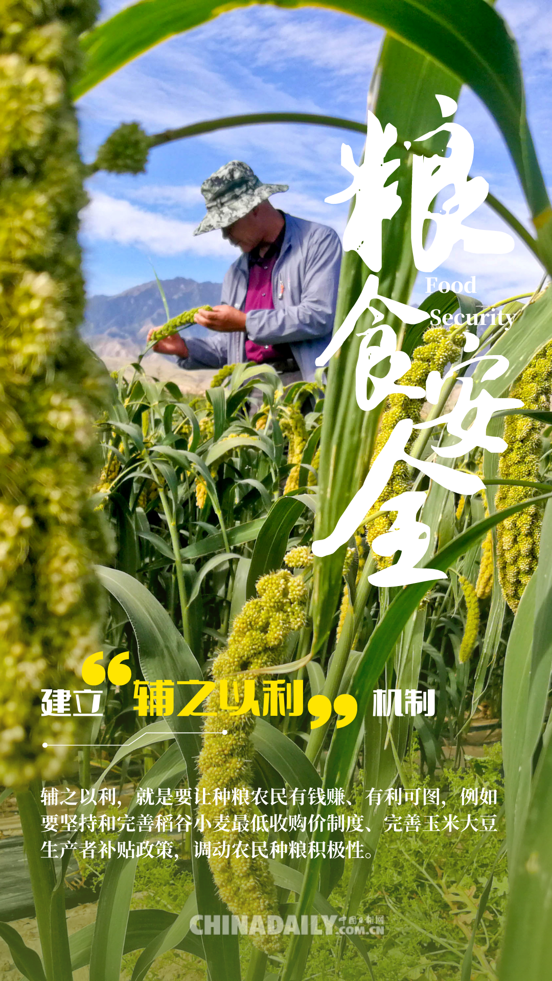 端牢“中国饭碗”底气十足