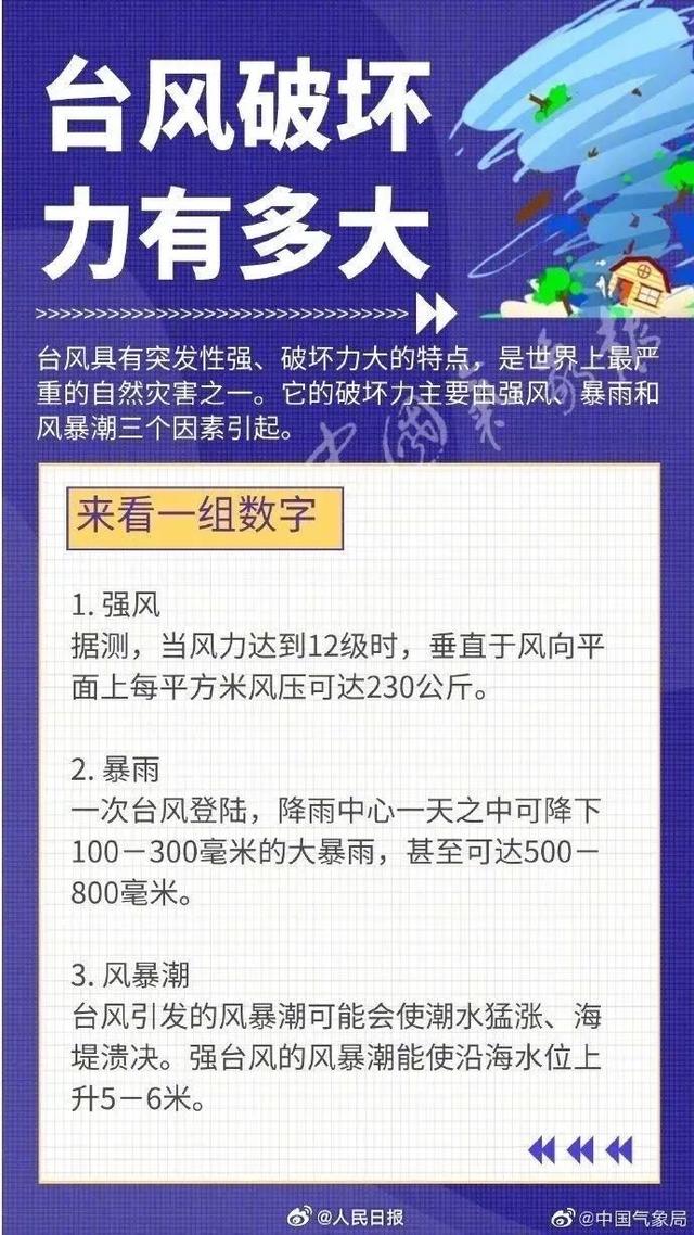 深圳台风季节应对与防范指南，生活必备知识