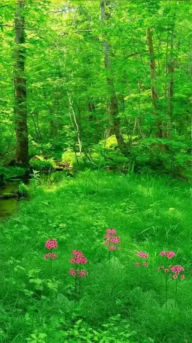办公设备 第437页