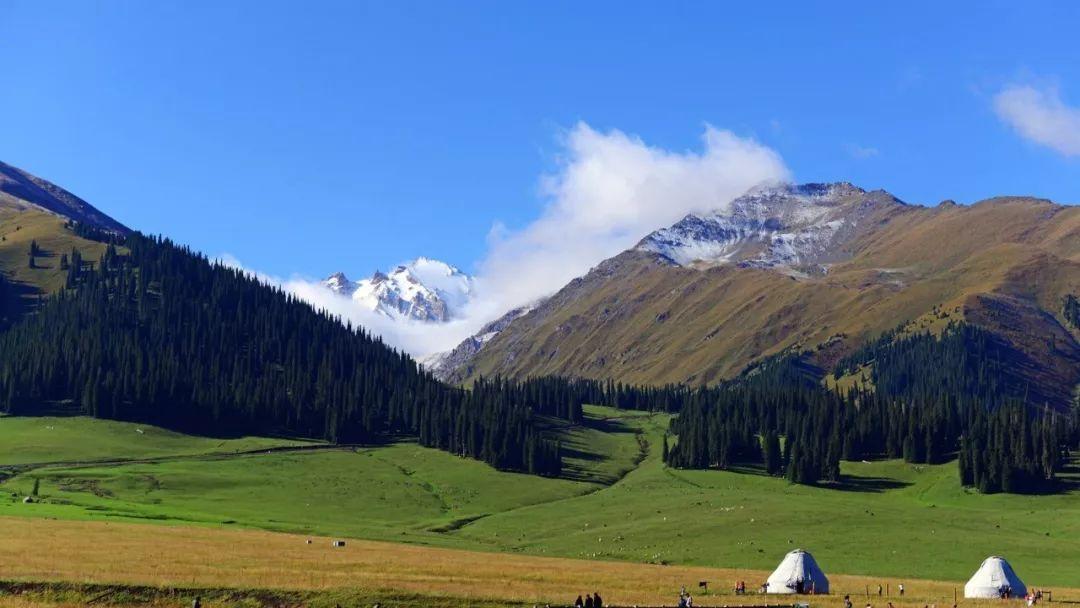 探索自然美景之旅，远离尘嚣，领略大自然的奇妙之处