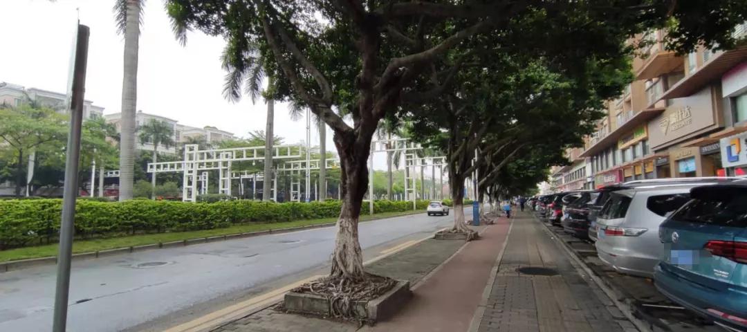 番禺广场附近地铁的综合分析，重要性及其影响探讨
