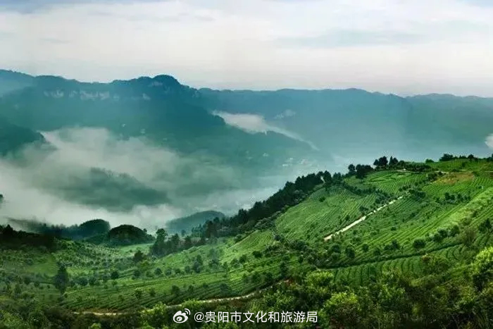 立伟网络科技 第460页