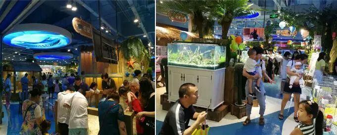 美国首都华盛顿隆重迎接熊猫，特色小店探秘之旅开启