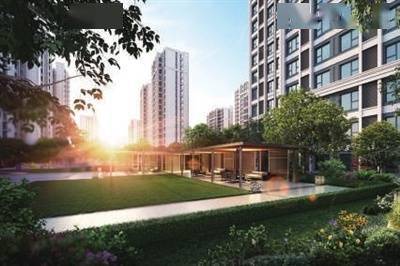 智能绿色违建监管系统革新之旅，沿河违建宿舍占绿长达十二年的挑战与应对