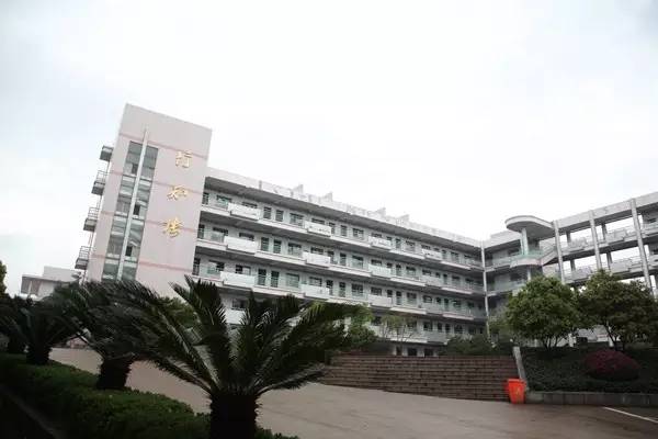 广东白云学院正常报到率背后的科技新星崛起