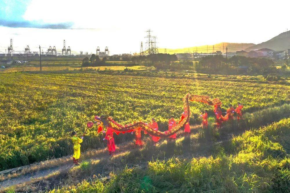 盐碱地丰收庆典启动，庆祝丰收季节的到来！