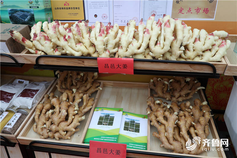 盐碱地丰收庆典启动，庆祝丰收季节的到来！