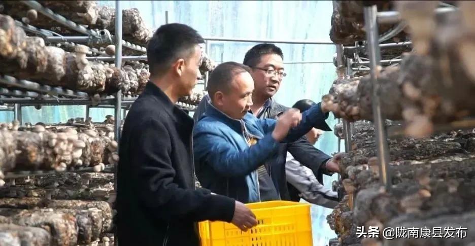 官方重磅，规范医保药品外配处方，开启新篇章，提升自信与成就感的征程！
