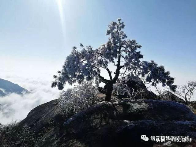 北方冬日模式，寻找内心平静的雪白之旅