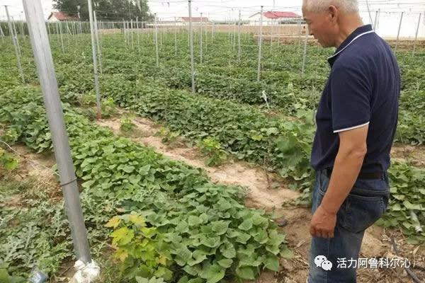 手工耿个人独资工作室注销