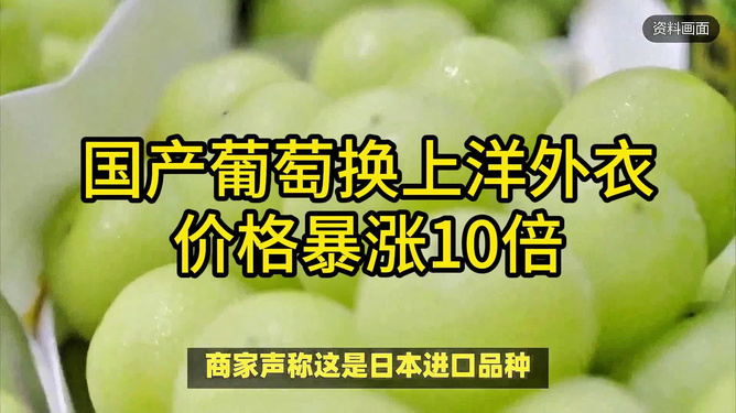 小巷深处的葡萄秘境，国产葡萄洋外衣背后的价格差异之谜