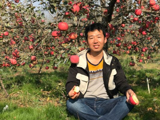 谣言揭秘，辍学卖苹果并非为供哥哥读北大，启程探寻真实生活之美