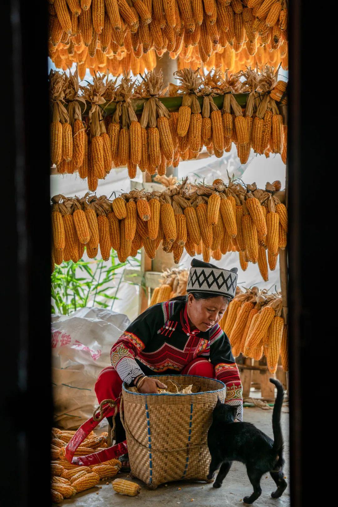 江西安福乡长遇刺，智能安全卫士守护乡镇安宁科技利器助力防范悲剧重演
