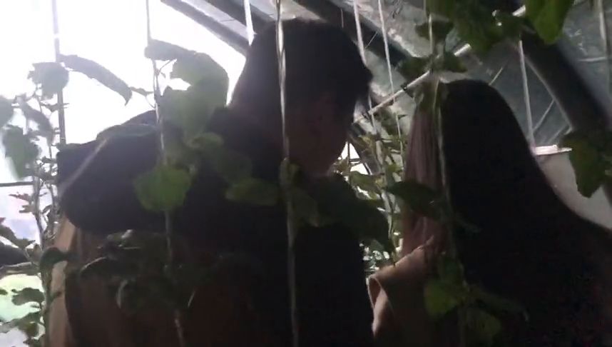 外来媳妇的山洞奇遇，谣言背后的温情故事揭秘
