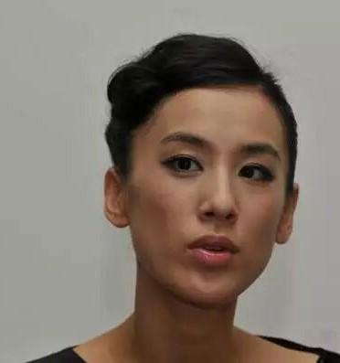 黄圣依和杨子的商业版图，聚焦两家持股公司深度解析