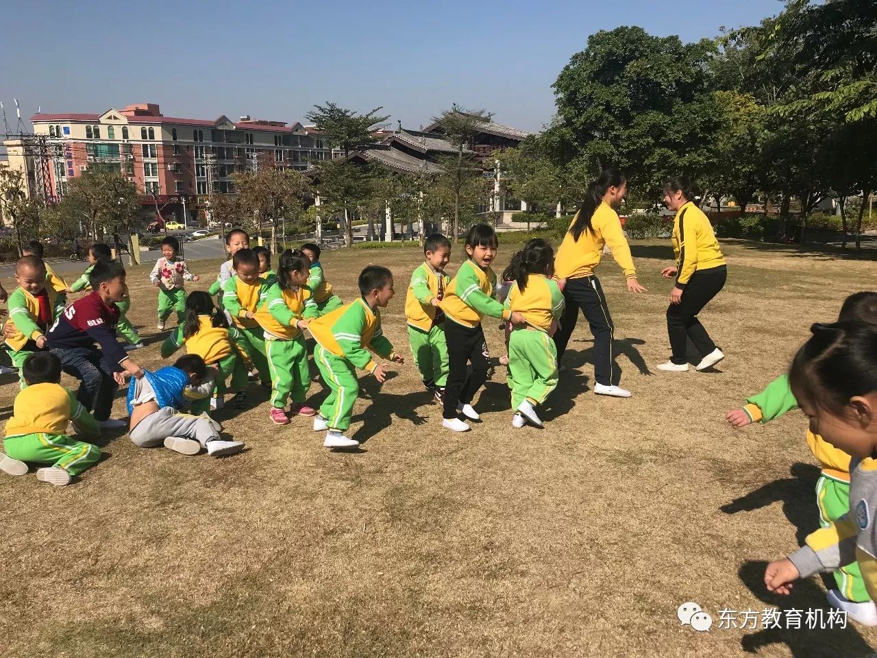 探索自然美景之旅，鳄鱼上街被擒拿的故事启发