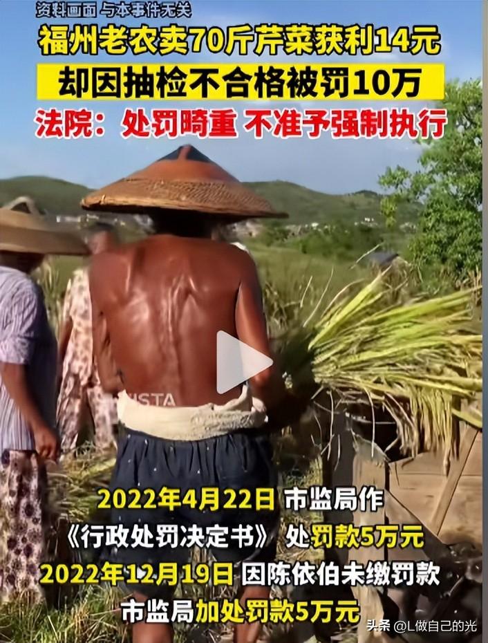 奢侈品牌惊现天价芹菜包，揭秘三万块背后的故事与时尚新潮流