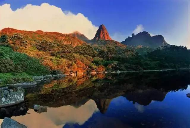 盛大最新，自然美景的治愈之旅探索