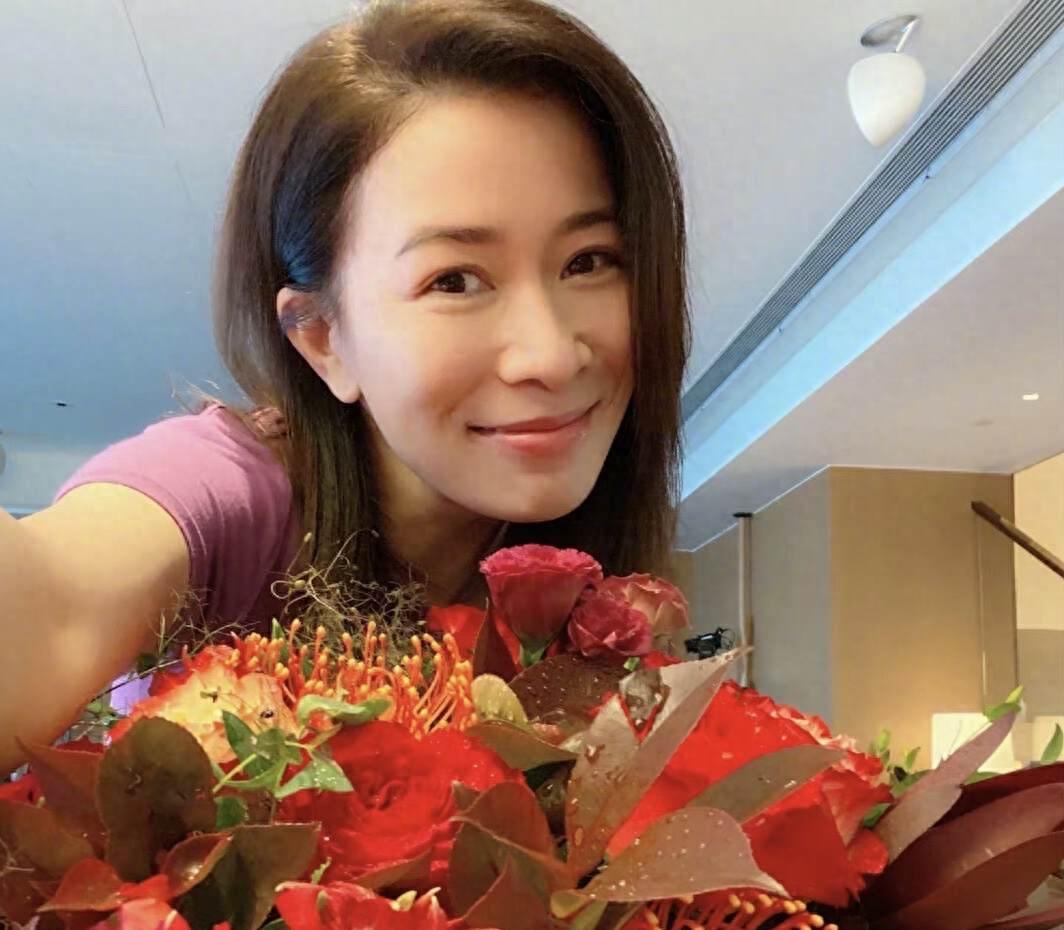 TVB最新电视剧在线观看，视觉盛宴不容错过！
