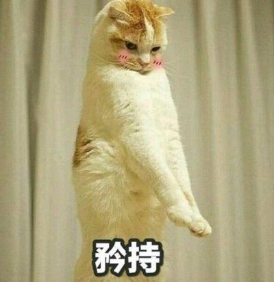 时代背景下的战略竞技游戏崛起，战就战最新动态