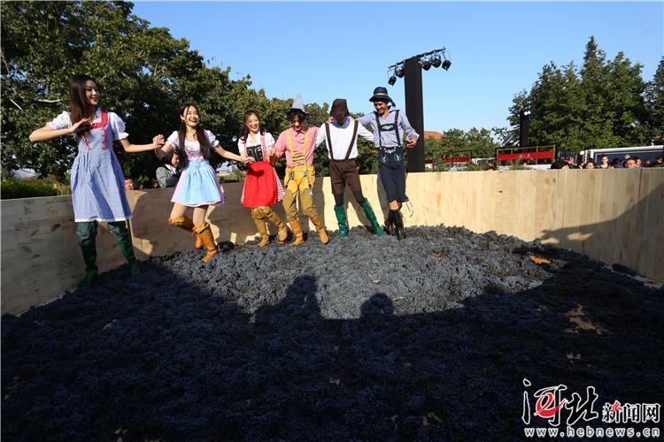 昌黎新闻回顾，最新消息一览无余