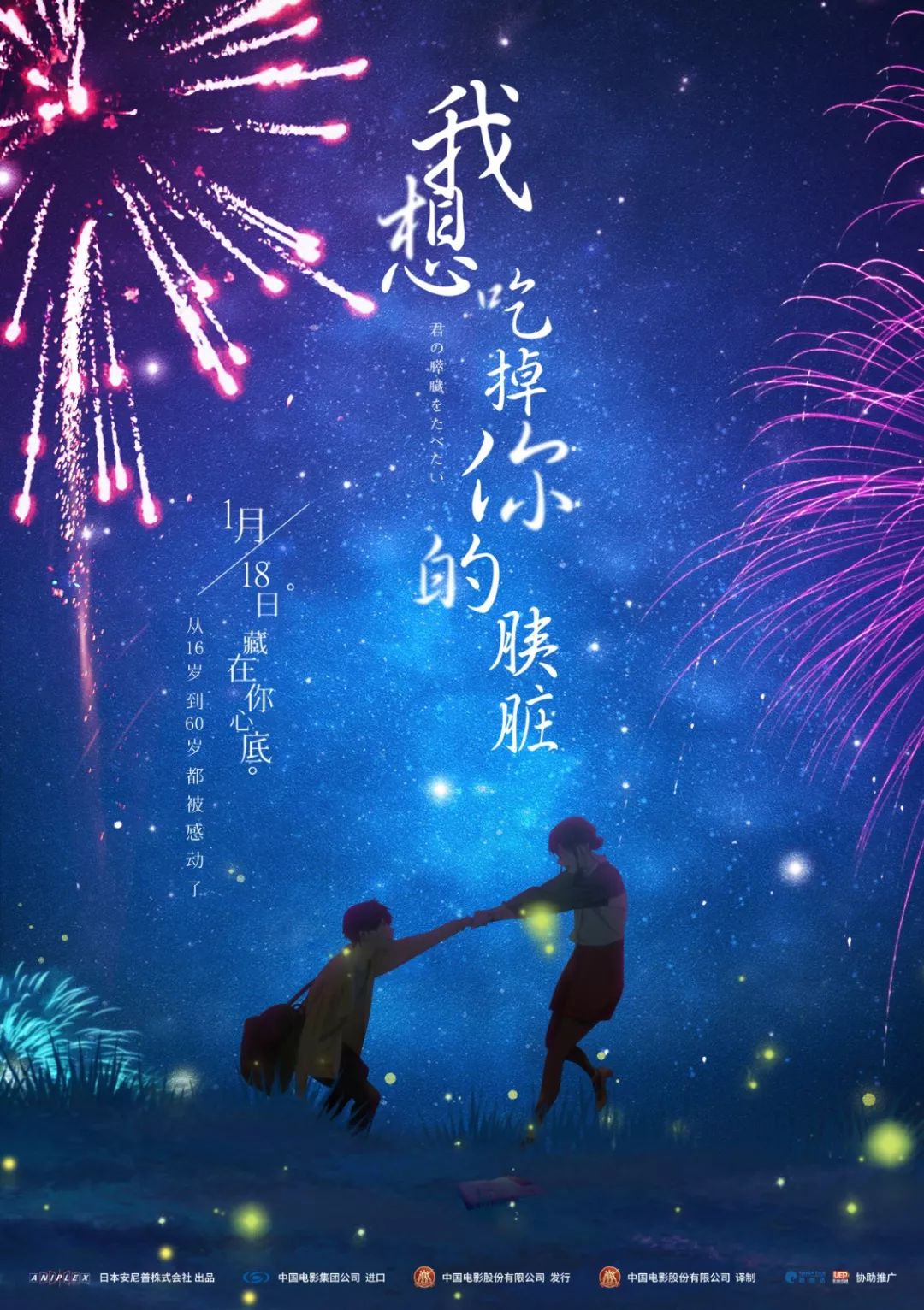 花火最新小说，小巷深处的独特故事