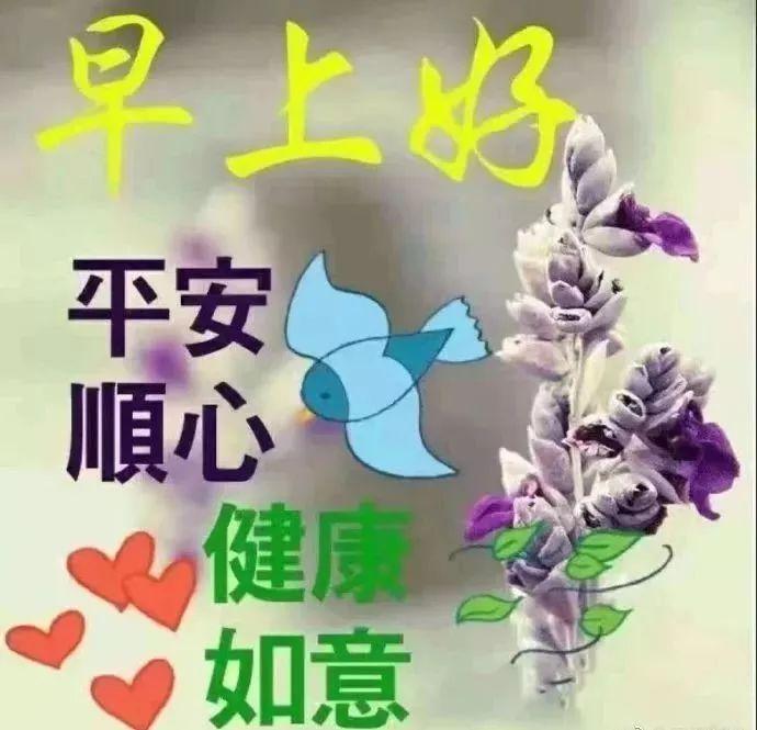 最新寂寞，解读与超越心境的挑战