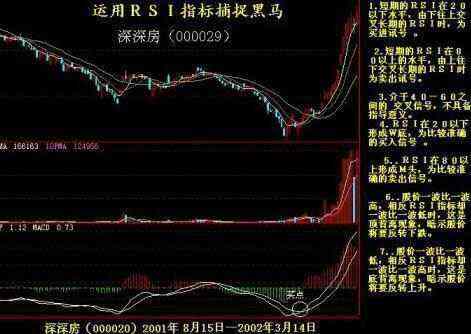 黑马最新视频揭秘，热门趋势一网打尽，一探究竟