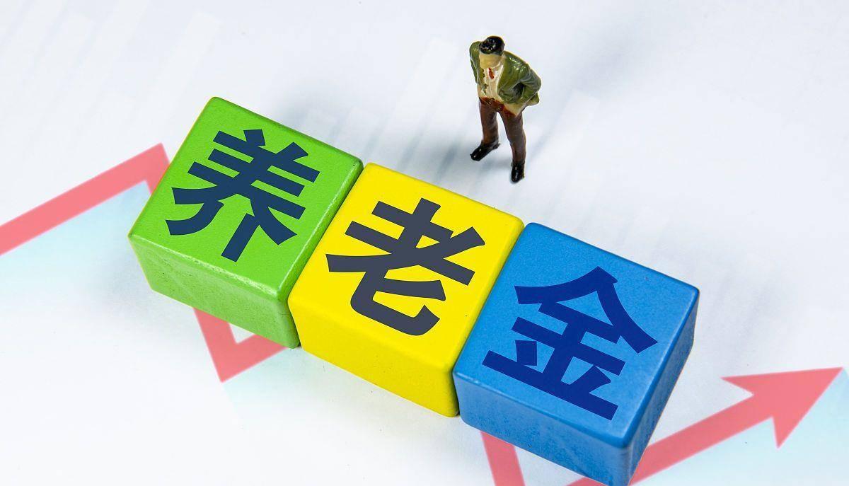 养老金改革最新动态，步骤指南与最新消息速递