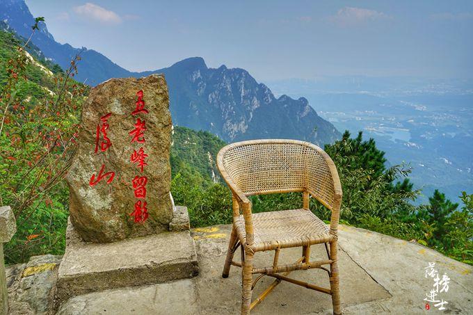 金芙蓉最新广场舞，与自然美景的浪漫相遇