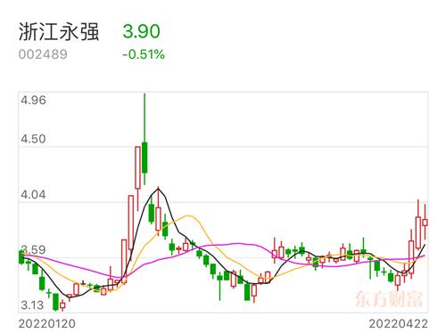 浙江永强最新动态与资讯📢🌱