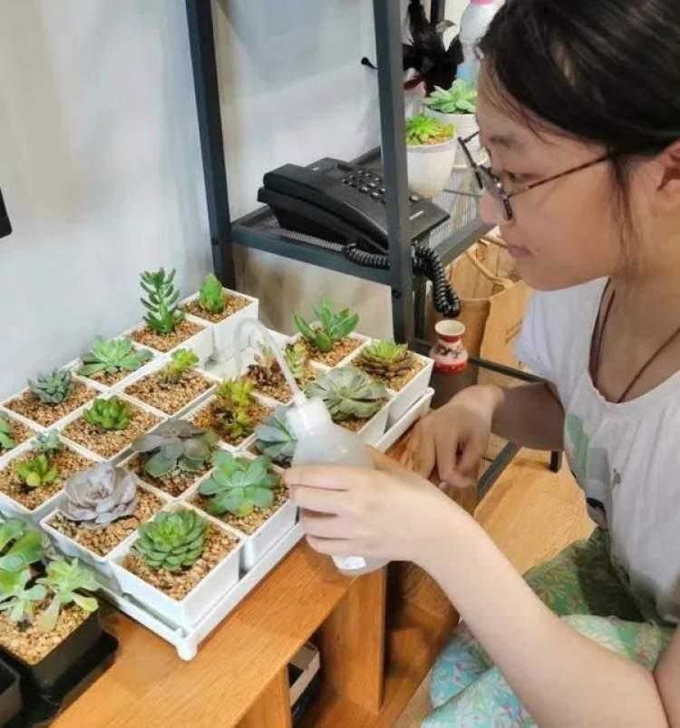 QQ美化包最新版下载，自然美景的旅行探索之旅