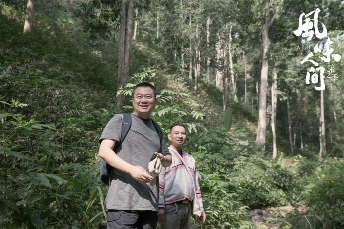 中煤平朔最新动态，小巷中的独特风味探索之旅