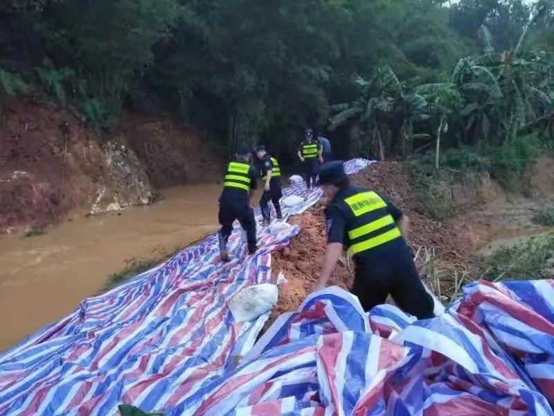 关注最新台风动态，勇闯风雨，聚焦8号台风动向