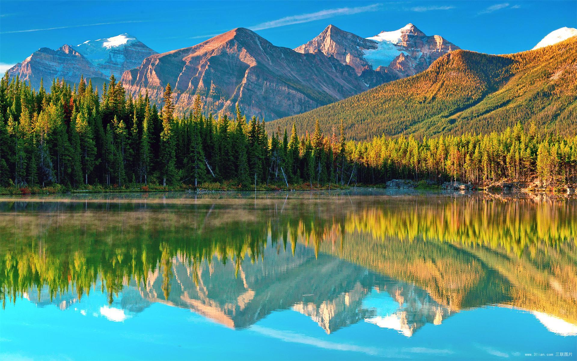 最新天赋图，探寻自然美景，寻找内心平静的旅程