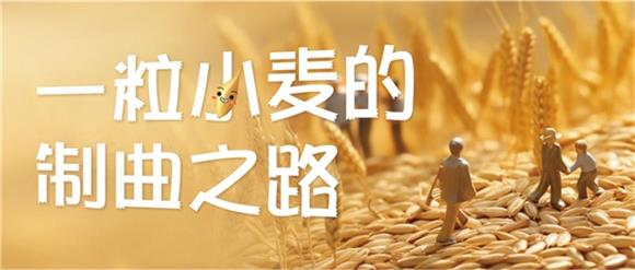 小麦最新行情与价格揭秘，巷弄深处的麦香故事探索