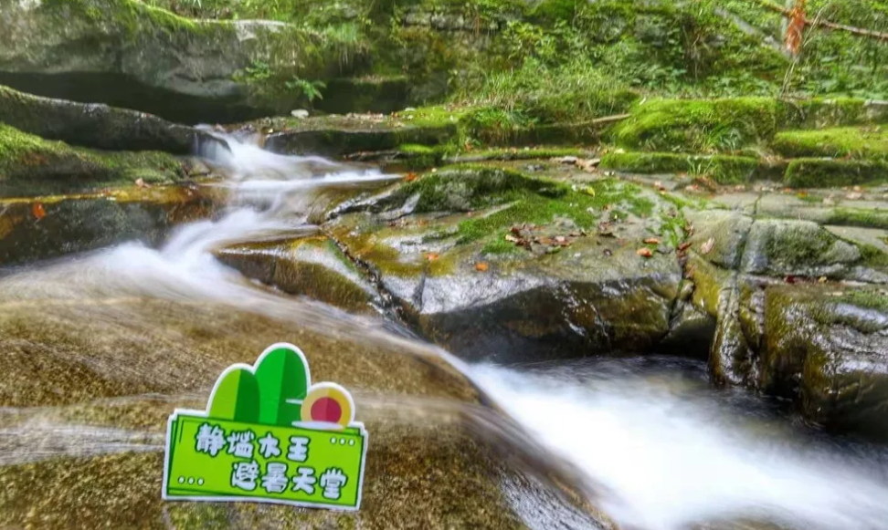 iTunes最新版本下载，自然美景的探险与心灵觉醒之旅