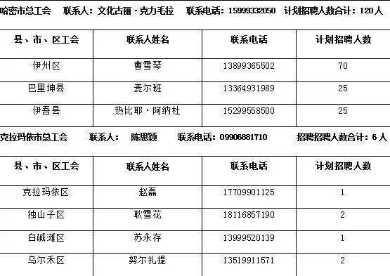 夷陵区最新招聘信息大全，全面概览工作职位与要求