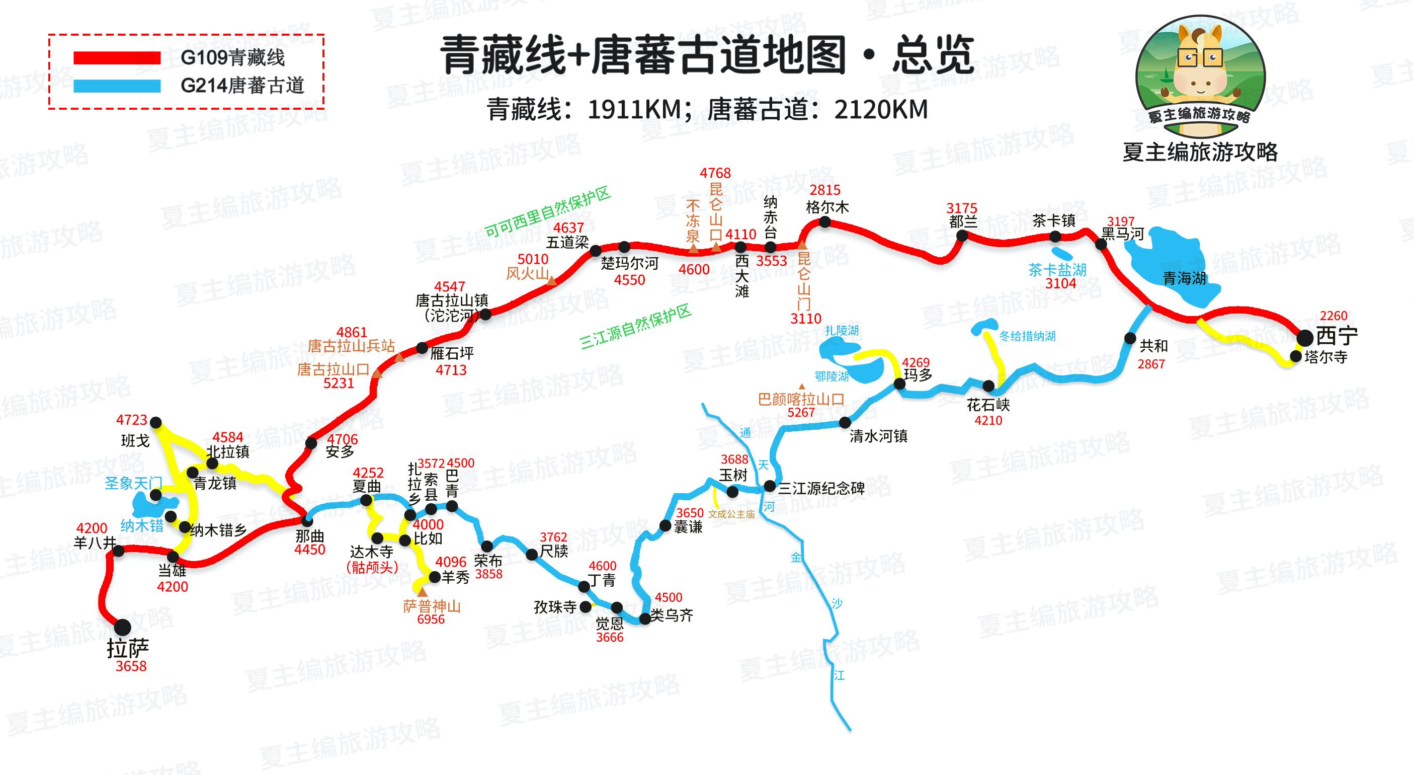 公交109最新线路图详解，获取与应用指南