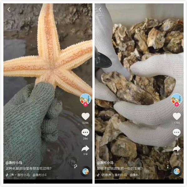 立伟网络科技 第306页